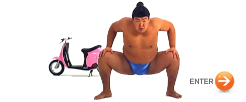 Sumo versus Simulation