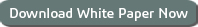 Download White Paper Now