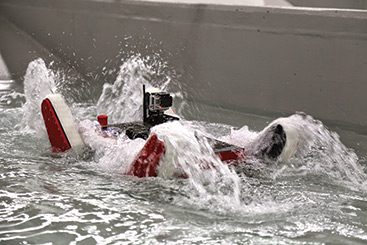 Worcester Polytechnic Institute | SolidWorks Customer Story